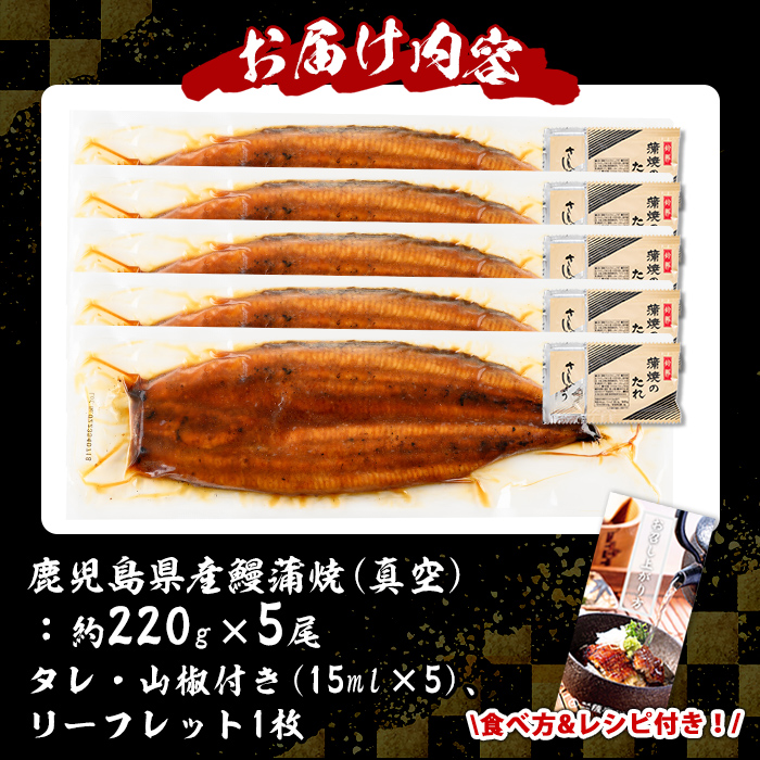 s731 ＼特大サイズ／ 鹿児島県産 鰻蒲焼真空セット！(計約1.1kg・約220g×5尾) タレ・山椒付！ 鹿児島 九州産 国産 うなぎ ウナギ 鰻 土用の丑の日 蒲焼き うな重 ひつまぶし 冷凍 【薩摩川内鰻】