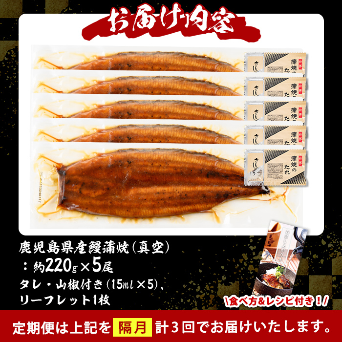 s736 【隔月・定期便3回】＼特大サイズ／ 鹿児島県産 鰻蒲焼真空セット！(計約3.3kg・約220g×5尾×3回) タレ・山椒付！ 鹿児島 九州産 国産 うなぎ ウナギ 鰻 土用の丑の日 蒲焼き うな重 ひつまぶし 定期便 隔月 1ヶ月おきに 冷凍 【薩摩川内鰻】