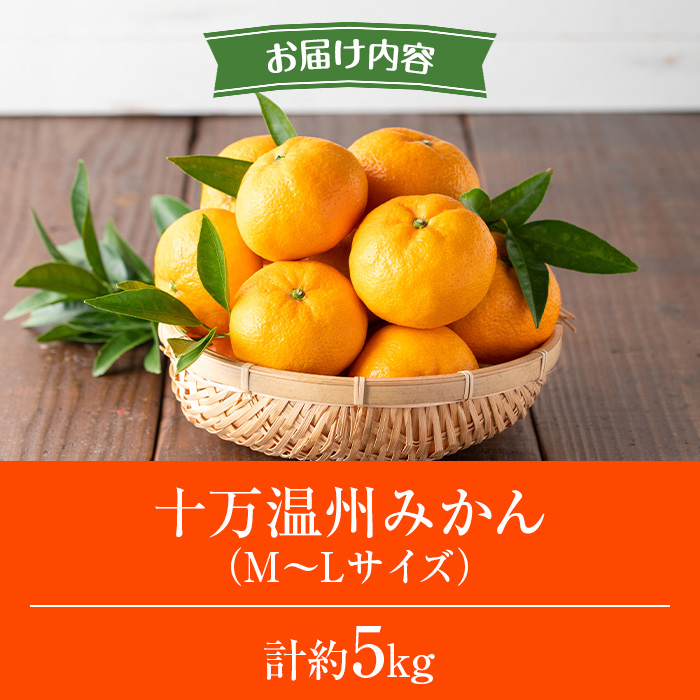 s765 ≪期間限定≫十万温州みかん(計約5kg・M～Lサイズ) 鹿児島 国産 九州産 フルーツ 柑橘 みかん 蜜柑 【田野農園】