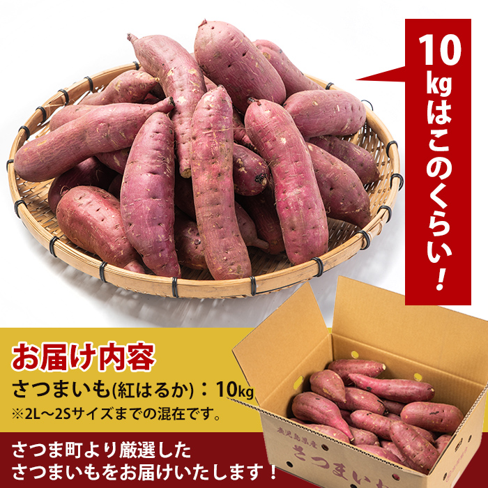 s088 《期間限定》鹿児島県産紅はるか生芋(10kg) 鹿児島 お芋 生芋 べにはるか 紅はるか さつまいも サツマイモ 薩摩芋 焼き芋 おかず スイーツ 【弐番屋】
