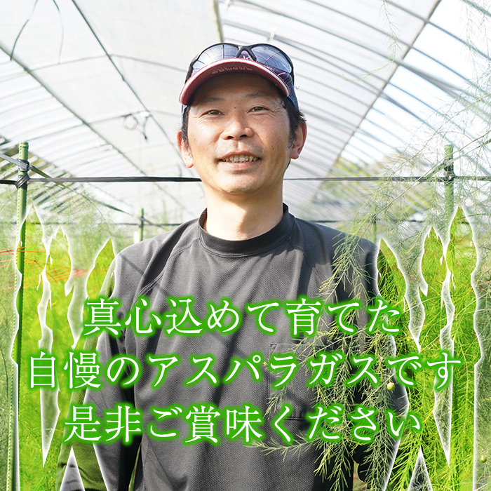 s228 ＜先行予約受付中！2026年2月下旬より順次発送＞≪数量限定≫さつま町産のアスパラガス(1kg・2L～Mサイズ混合) 鹿児島 国産 九州産 産地直送 アスパラ 野菜 ベジタブル【松金農園】
