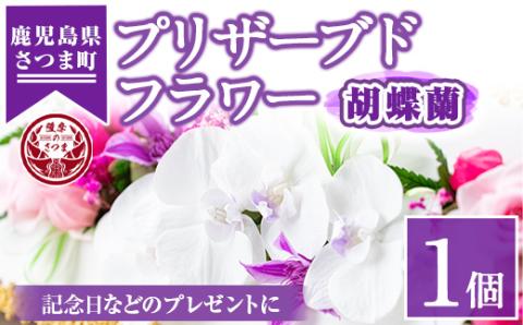 s108 ≪毎月数量限定≫プリザーブドフラワー(胡蝶蘭) 鹿児島 花 フラワー プレゼント ギフト インテリア 記念日 誕生日 結婚祝い 祝い お供え【南原農園】