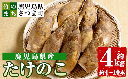 s089 《先行予約受付中！2026年3月下旬より順次発送予定》鹿児島県産たけのこ(4kg・約4～10本) 産地直送 筍 タケノコ 国産 煮物 炊き込みご飯【弐番屋】