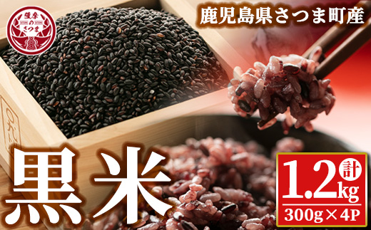 s327 《毎月数量限定》さつま町で育った黒米＜さつま黒もち＞(計1.2kg・300g×4個) 鹿児島 国産 九州産 黒米 こくまい くろまい 有色米【山崎農場】