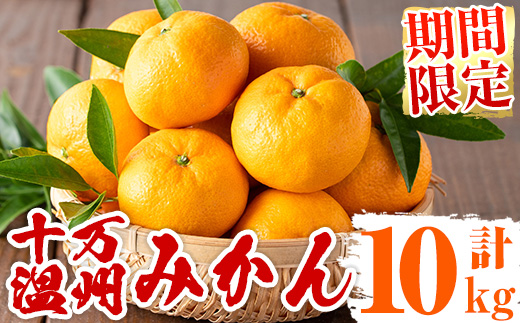 s498 ≪先行予約受付中！2025年12月中旬より順次発送≫十万温州みかん(計約10kg・M～Lサイズ) 鹿児島 国産 九州産 フルーツ 柑橘 みかん 蜜柑 【田野農園】