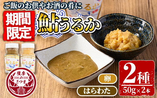 s569 ＜期間・数量限定＞鮎うるか2種(計2本・卵×1本、はらわた×1本・各50g) 塩辛 うるか にがうるか おつまみ 珍味 発酵食品 あゆ アユ 魚 魚介 川魚 内臓 はらわた 【しもむぎ】