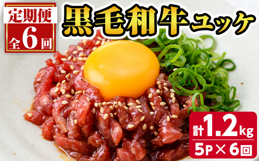 s707 ＜定期便・全6回(連続月)＞鹿児島県産黒毛和牛ユッケ(計1.2kg・40g×5パック×6回) 鹿児島 国産牛 九州産 牛肉 黒牛 生食用 小分け 冷凍 ユッケ 黒毛和牛 牛 【カミチク】