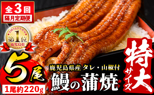 s736 【隔月・定期便3回】＼特大サイズ／ 鹿児島県産 鰻蒲焼真空セット！(計約3.3kg・約220g×5尾×3回) タレ・山椒付！ 鹿児島 九州産 国産 うなぎ ウナギ 鰻 土用の丑の日 蒲焼き うな重 ひつまぶし 定期便 隔月 1ヶ月おきに 冷凍 【薩摩川内鰻】