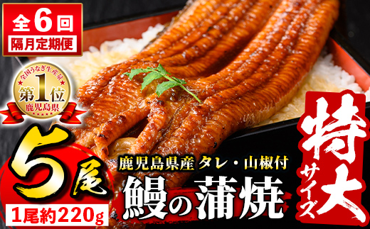 s737 【隔月・定期便6回】＼特大サイズ／ 鹿児島県産 鰻蒲焼真空セット！(計約6.6kg・約220g×5尾×6回) タレ・山椒付！ 鹿児島 九州産 国産 うなぎ ウナギ 鰻 土用の丑の日 蒲焼き うな重 ひつまぶし 定期便 隔月 1ヶ月おきに 冷凍 【薩摩川内鰻】