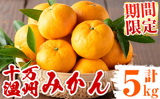 s765 ≪期間限定≫十万温州みかん(計約5kg・M～Lサイズ) 鹿児島 国産 九州産 フルーツ 柑橘 みかん 蜜柑 【田野農園】