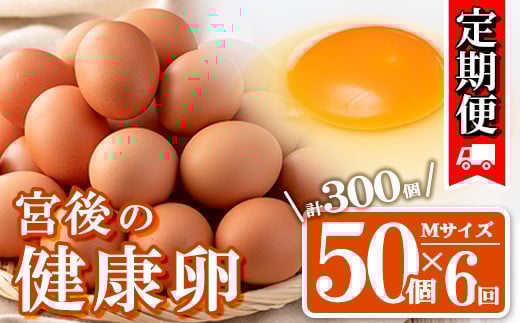 s442 ＜定期便・全6回＞産地直送！さつま町の豊かな自然の中で育った宮後の健康卵！(Mサイズ・計300個 50個×6回) 鹿児島 国産 九州産 産地直送 産直 たまご 卵 鶏卵 卵かけご飯 卵焼き【宮後養鶏】