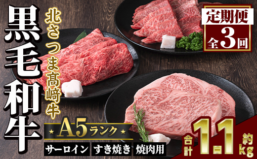 s702  ＜定期便・全3回＞鹿児島県産 北さつま高崎牛 プレミアムセット (合計約1.1kg)  黒毛和牛 牛肉 A5ランク A5等級 ステーキ サーロイン 霜降り サシ 赤身 すきやき すき焼き しゃぶしゃぶ 焼肉 セット 真空パック 冷凍 【太田家】