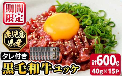 s705 《数量限定！》鹿児島県産黒毛和牛ユッケ(計600g・40g×15パック) 鹿児島 国産牛 九州産 牛肉 黒牛 生食用 小分け 冷凍 ユッケ 黒毛和牛 牛 【カミチク】