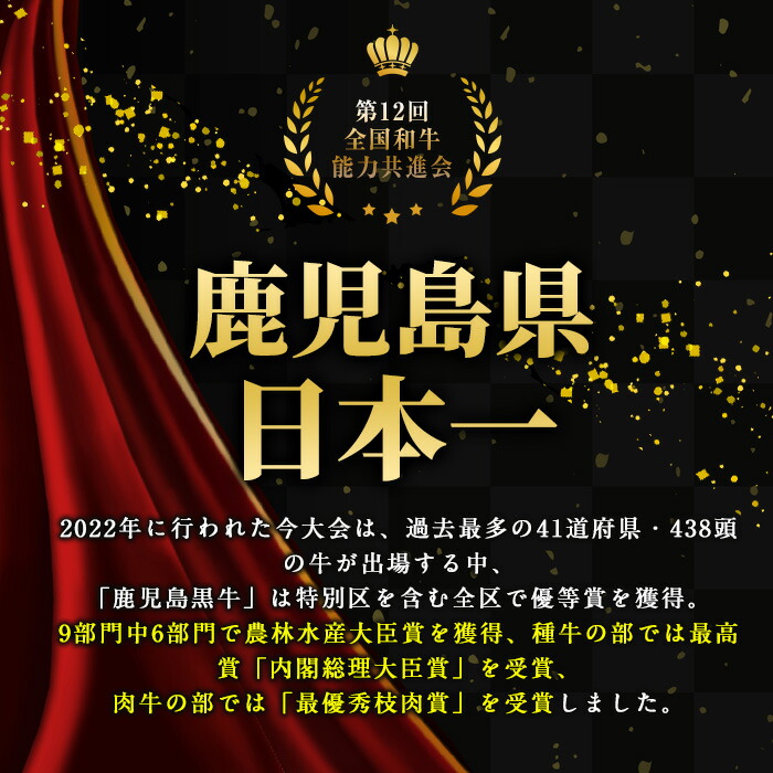 ＜定期便：毎月発送全3回＞鹿児島黒牛特選ハンバーグ(計約900g・約150g×6個)国産 鹿児島 ハンバーグ 冷凍 セット【nixy中山亭】_chuzan-1511