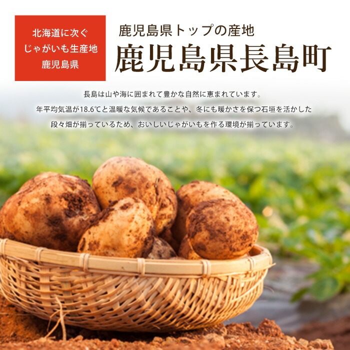 長島のミネラル栽培じゃがいも(計10kg)【エグチベジフル(株)】_eguchi-7019