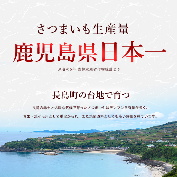 井手青果の熟成紅はるか干し芋 計400g (100g×4袋) 熟成 紅はるか 干し芋 濃厚な甘み【井手青果】_ide-7083