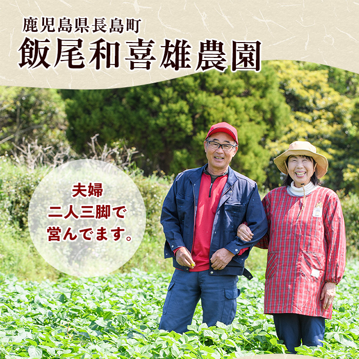 《先行予約》〈数量限定〉和喜雄さんといつみさんのはちみつ芋(計3kg)【飯尾和喜雄農園】_iio-7086