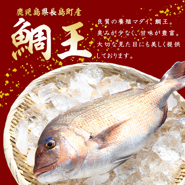 長島町特産「鯛王」スキンレスロイン 4節入り (約0.5kg) ＼カットするだけ簡単！新鮮なお刺身が楽しめる／ 産地直送 新鮮 旨味が抜群の 長島町 特産品 ブランド 刺身 鯛めし 鯛茶漬け 鯛しゃぶ 鯛刺身 鮮魚 冷蔵 【JFA】_jfa-7121