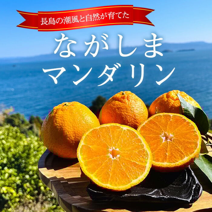 【先行予約】熟成 ながしまマンダリン王(大将季) 約5kg【ながしまマンダリングループ】_mandarin-7199