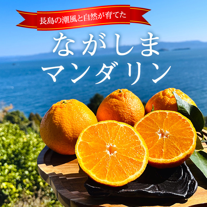 【先行予約】ながしまマンダリン王【露地】(大将季) 約5kg【ながしまマンダリングループ】_mandarin-7197