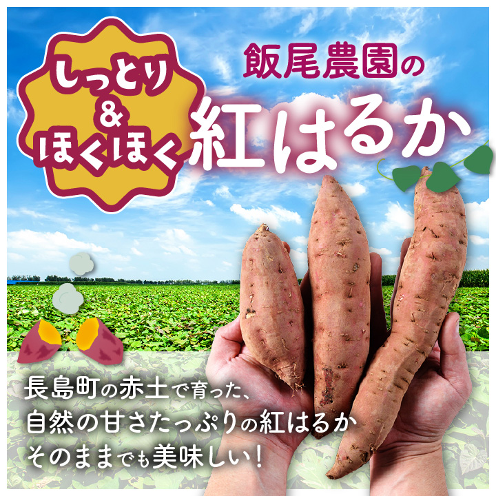 《 訳あり 》飯尾農園 熟成 紅はるか 約5kg 芋 いも さつまいも サツマイモ 鹿児島県産 国産 長島町産 べにはるか 熟成【飯尾農園】_miio-7233