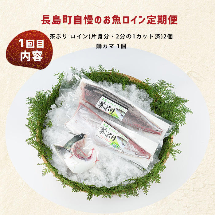 ＜定期便・毎月発送全4回＞ 長島町自慢のお魚定期便(ロイン) 全4回_nagashima-1515