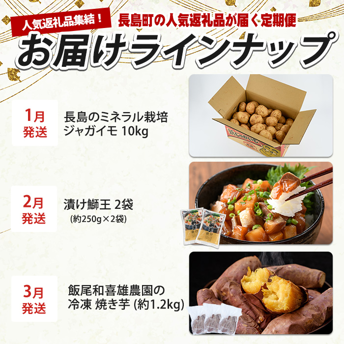 《毎月発送全12回》全事業者 長島町スペシャル定期便 _nagashima-1536
