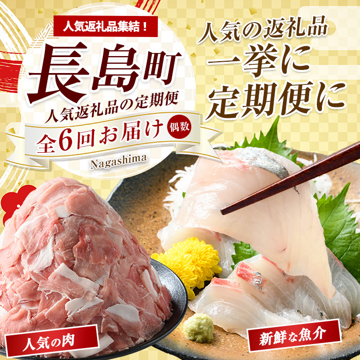 《偶数月発送全6回》全事業者 長島町スペシャル定期便 _nagashima-1537