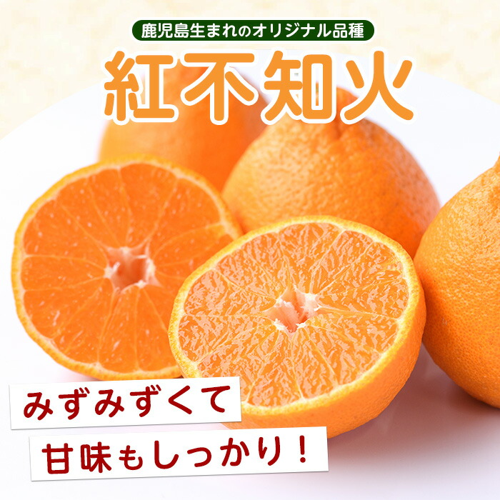【先行予約】紅 不知火 (3L・2L) 約3kg しらぬい みかん ミカン 蜜柑 柑橘 果物 くだもの フルーツ 【南條農園】_nannjyo-7260
