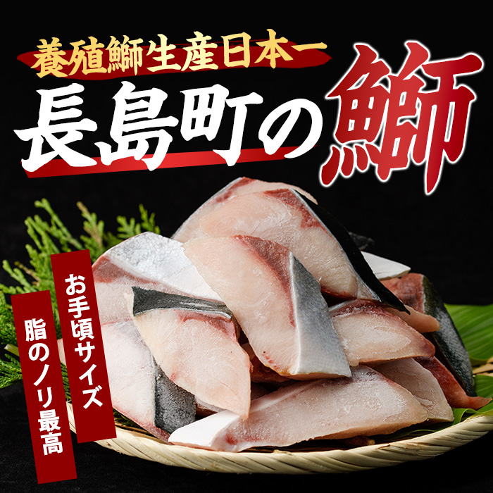 【先行予約】鰤の切り身（約1.0kg）【株式会社島水】_shimasui-7289