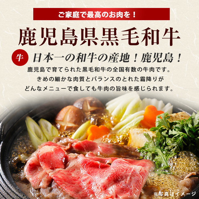 ＜定期便全6回＞黒毛和牛＆豚肉定期便 総重量8.4kg超 赤身 ロース 豚 ミンチ ロースかつ 豚肉 牛肉 切り落とし サーロイン 豚ロース しゃぶしゃぶ すき焼き 【スターゼン】_starzen-1535