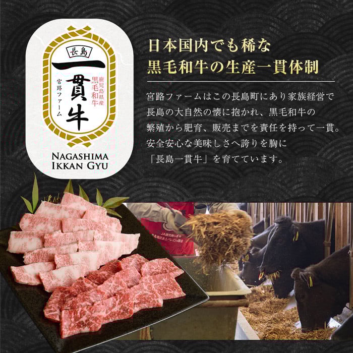 鹿児島県産合挽き肉使用 自家製ハンバーグ計5個(1個150g)【宮路ファーム】_f-miyaji-7024