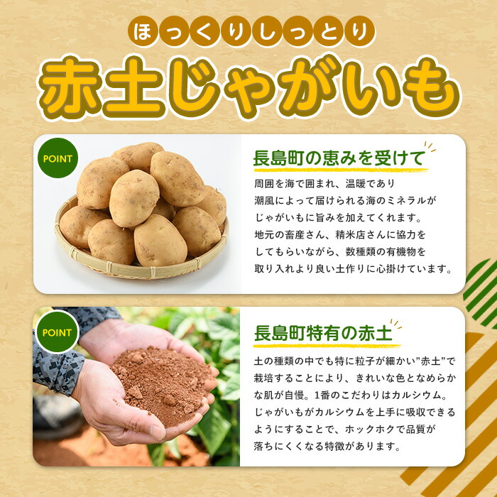 【先行予約】＜数量・期間限定＞ホックホク甘さがある伊唐産早春じゃがいも(約10kg)【旬感foods】_horino-7076