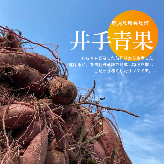 井手青果の熟成紅はるか干し芋 計400g (100g×4袋) 熟成 紅はるか 干し芋 濃厚な甘み【井手青果】_ide-7083