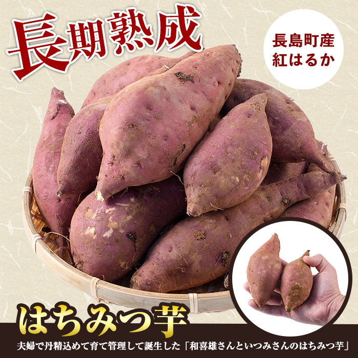 《先行予約》〈数量限定〉和喜雄さんといつみさんのはちみつ芋(計3kg)【飯尾和喜雄農園】_iio-7086