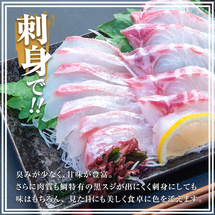 長島町特産「鯛王」 フィレ 半身 4枚入り カマ付 (約1.6kg) 産地直送 新鮮 旨味が抜群の 長島町 特産品 ブランド 刺身 鯛めし 鯛茶漬け 鯛しゃぶ 鯛刺身 鮮魚 冷蔵 【JFA】_jfa-7119