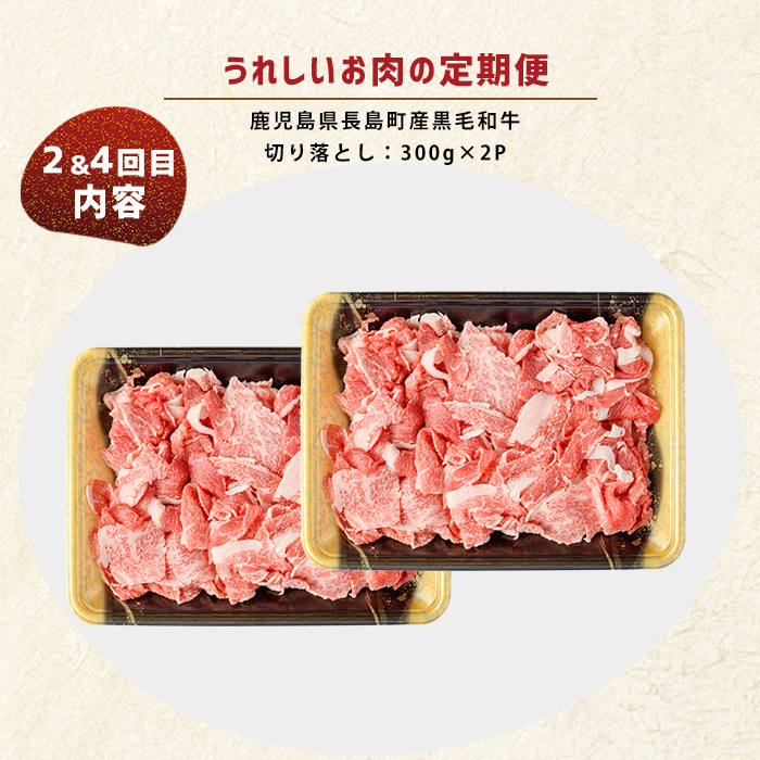 ＜定期便・毎月発送全4回＞ うれしいお肉の定期便 鹿児島県産 豚肉 切り落とし (計4kg・500g×8P) 黒毛和牛 切り落とし (計600g・300g×2P) 【コワダヤ】【宮路ファーム】_nagashima-1520