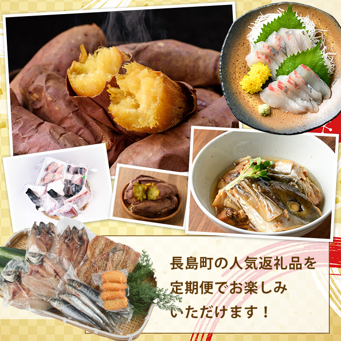《偶数月発送全6回》全事業者 長島町スペシャル定期便 _nagashima-1537