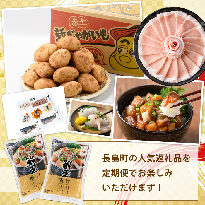 《奇数月発送全6回》全事業者 長島町スペシャル定期便 _nagashima-1538