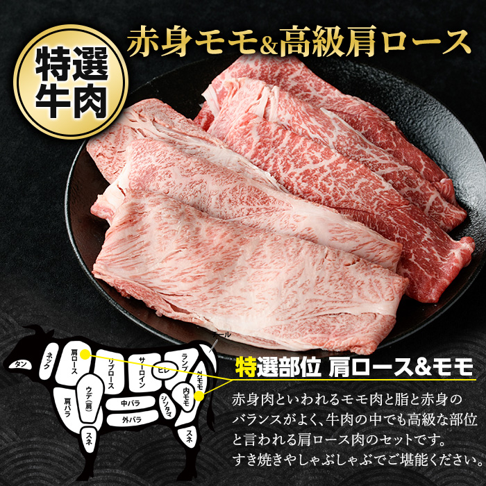 鹿児島県産 黒毛和牛 食べ比べ（ カタロース ・ モモ ） (計600g・各300g)【ナンチク】_nanchiku-7256