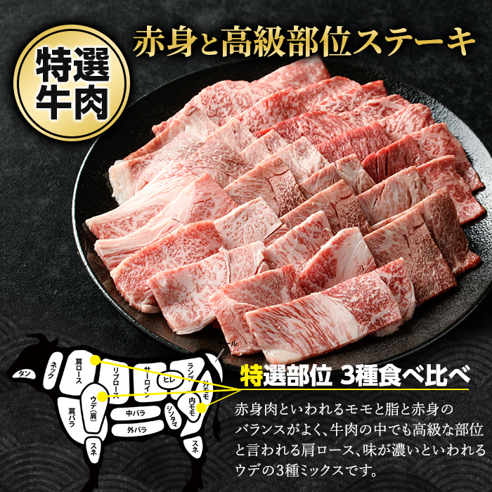 鹿児島県産黒毛和牛 焼肉セット 食べ比べ 3種 (計600g・各200g) モモ 肩ロース ウデ【ナンチク】_nanchiku-7258