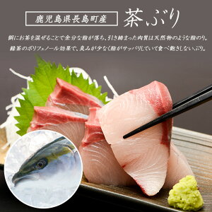 《鹿児島県長島町産》どん薩摩の茶ぶり丼回数券（９回分）茶ぶり 茶鰤 鰤 丼物 海鮮【株式会社 Never Land】_never-1549