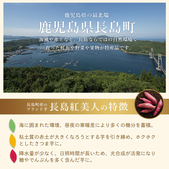 ＜定期便・2ヶ月毎発送全3回＞鹿児島県産さつまいも使用 ロイヤルのスイートポテト(9個)  スイートポテト 鹿児島 さつまいも菓子 スイーツ お菓子 おやつ 【ロイヤル】_royal-1517