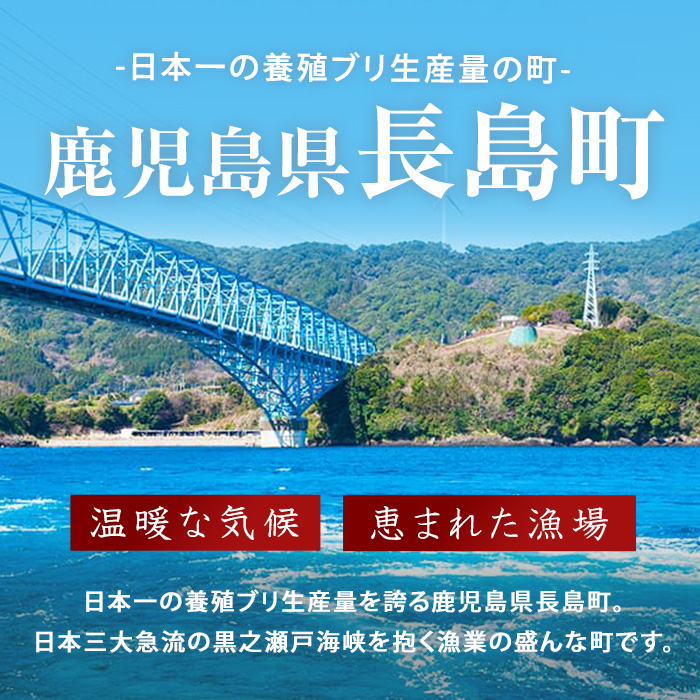 【先行予約】【皮なし】鰤の切り身（約1.0kg）【株式会社島水】_shimasui-7290
