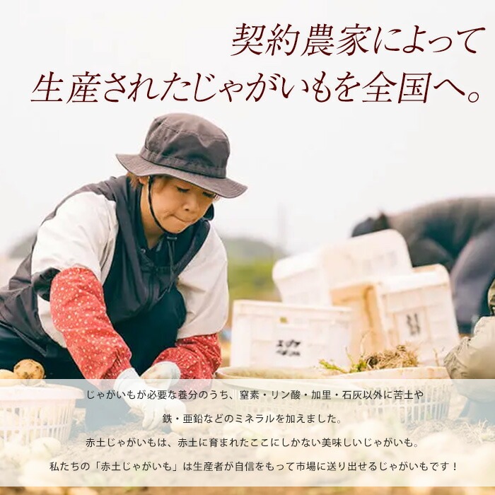長島のミネラル栽培じゃがいも(計10kg)【エグチベジフル(株)】_eguchi-7019