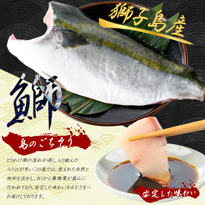獅子島産 百年漁師の鰤 カマ付きフィーレ1パック (半身分) 【島のごちそう】_gochi-7038R8