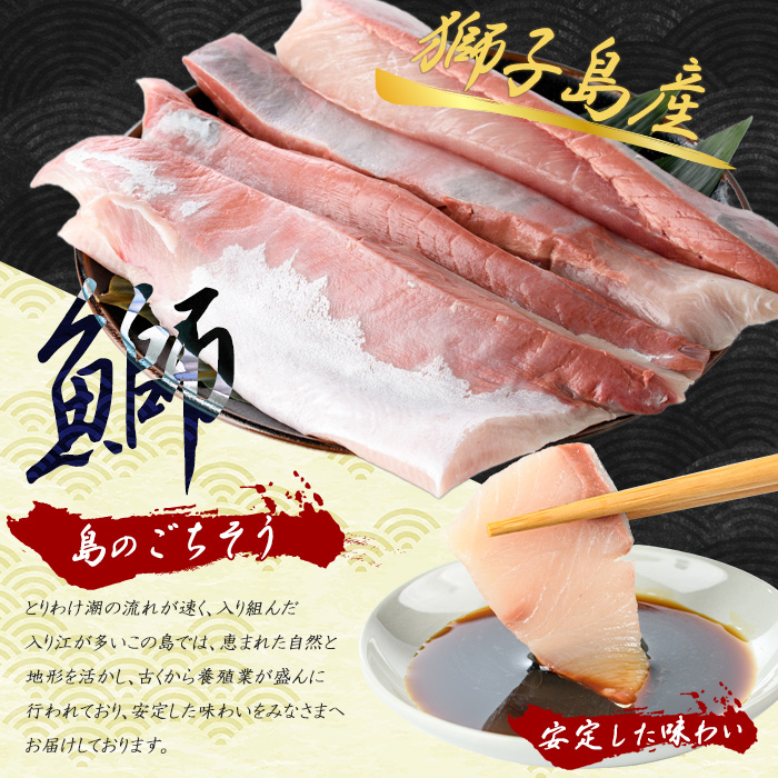 獅子島産 百年漁師の鰤 スキンレスロイン4パック (1匹分) 【島のごちそう】_gochi-7041