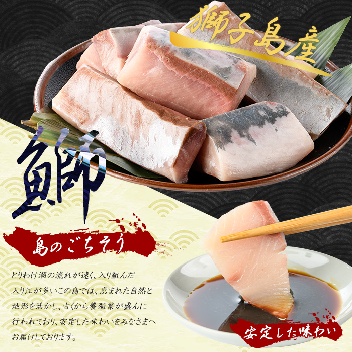 獅子島産 百年漁師の鰤 お刺身用サク (約150g×8パック) 【島のごちそう】_gochi-7043R8