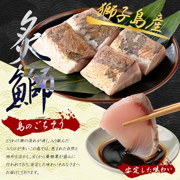 獅子島産 百年漁師の鰤 炙り刺身サク (約150g×4パック) 【島のごちそう】_gochi-7044R8