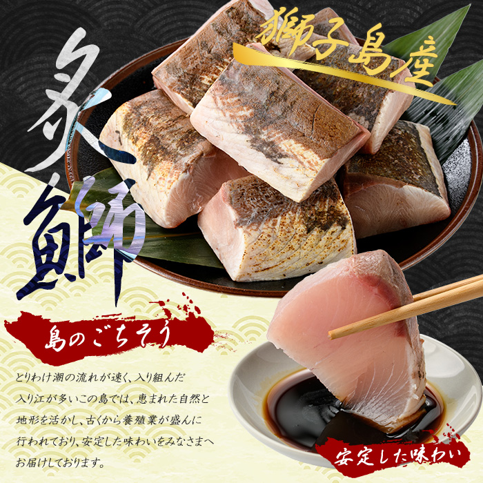 獅子島産 百年漁師の鰤 炙り刺身サク (約150g×8パック) 【島のごちそう】_gochi-7045R8